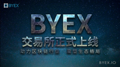 BYEXʽ  ҵ